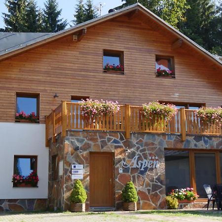 Pension Aspen Harrachov Exteriér fotografie