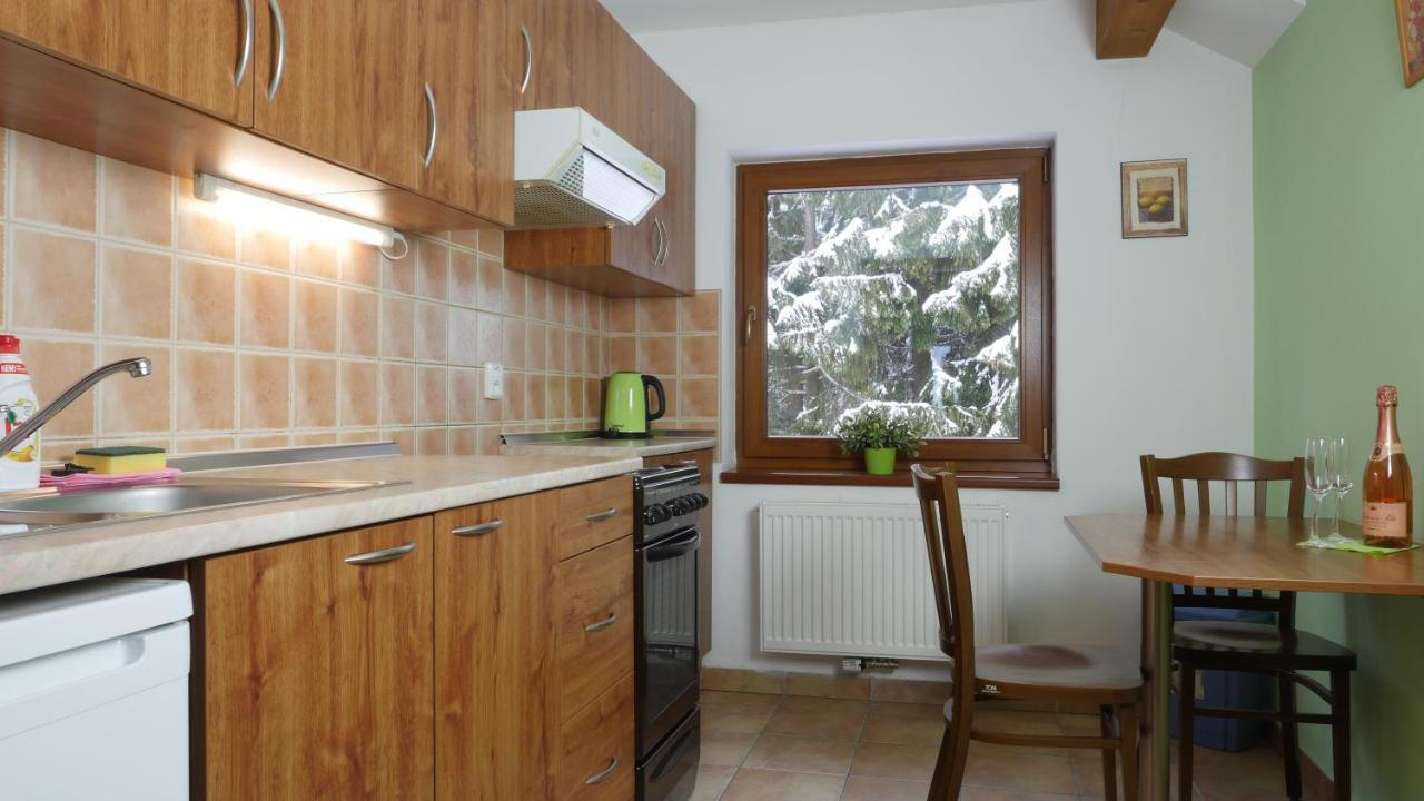 Pension Aspen Harrachov Exteriér fotografie