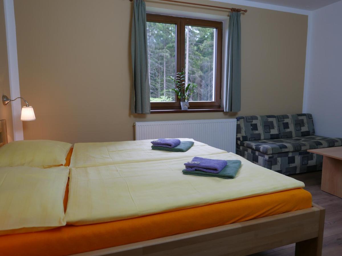 Pension Aspen Harrachov Exteriér fotografie