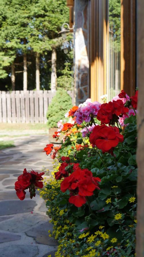 Pension Aspen Harrachov Exteriér fotografie