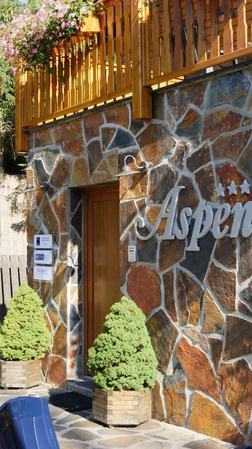 Pension Aspen Harrachov Exteriér fotografie