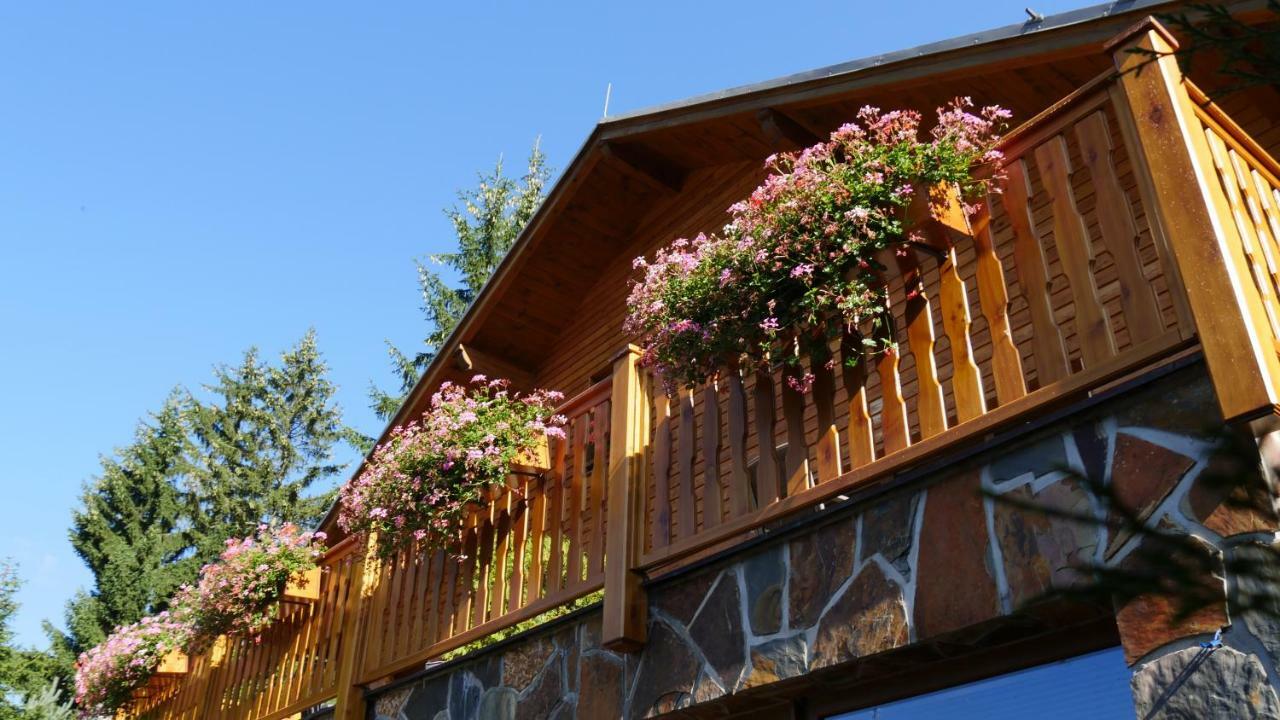 Pension Aspen Harrachov Exteriér fotografie